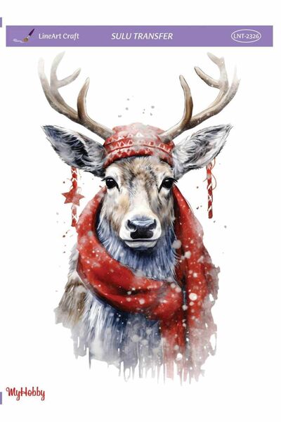 LİNEART Lineart Sulu Transfer LNT2326 25x35cm