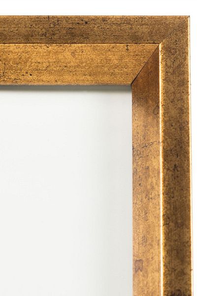 Mudo Home Olivia 15X21 Gold Photo Frame