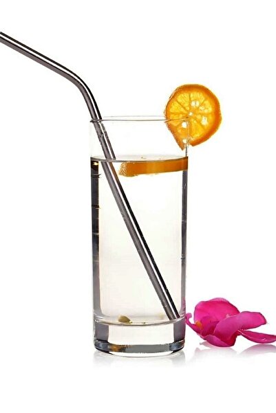 Kitchen Beauty 9 Parça Metal Pipet Seti Paslanmaz Çelik Pipet Ve Çubuk Pipet Temizleme Fırçası