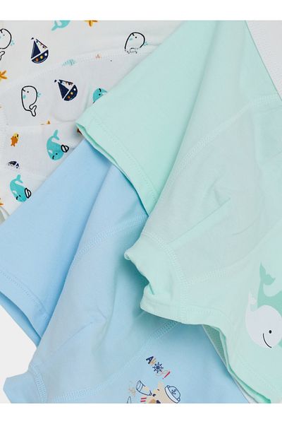 Styli Pack of 4 - Whale & Bear Print Briefs