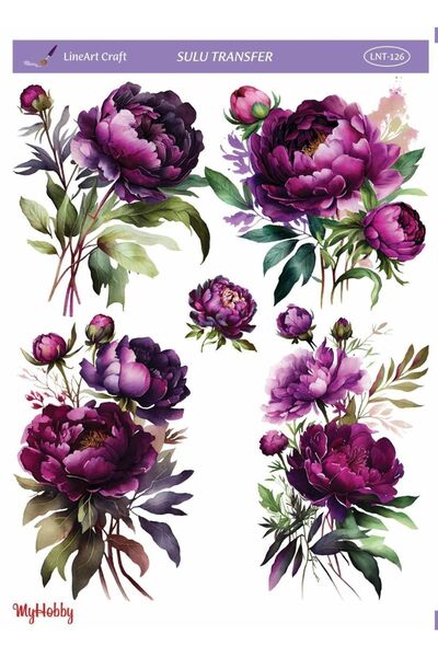 LİNEART Sulu Transfer Myhobby Lnt126 25x35cm