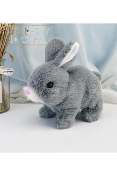 Sole Yürüyen, Sesli Hareketli Sevimli Peluş Bunny Tavşan - Sweet Bunny