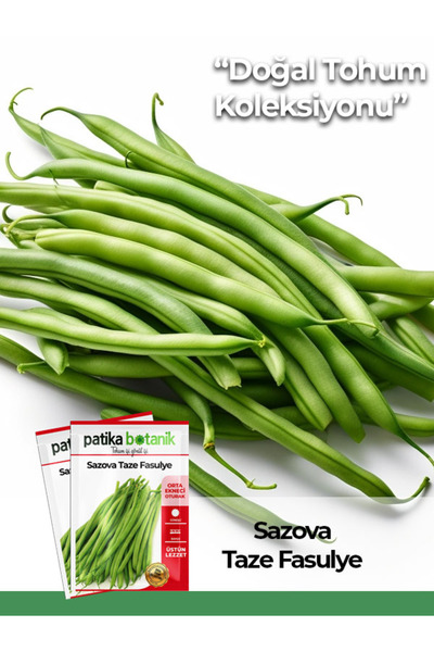 Patika Botanik 50 Adet Sazova Fasulye Tohumu