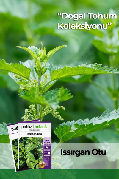 Patika Botanik 100 Adet Isırgan (URTİCA DİOİCA) Tohumu