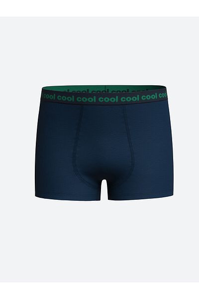 LC Waikiki Boxers για αγόρια - LCW Printed, Σετ 3 τεμαχίων