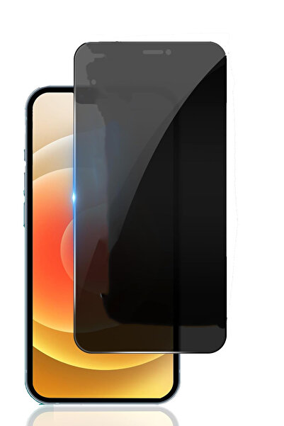 Powerfox iPhone 12 Uyumlu Kolay Yapışan Antistatik Özellikli HD Hayalet Ekran...