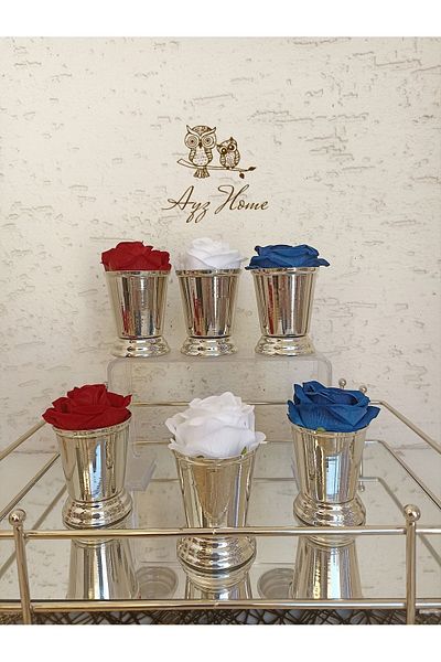 AYZ HOME ROSE BUCKET / COFFEE PRESENTATION ROSE BUCKET - 6 PIECES