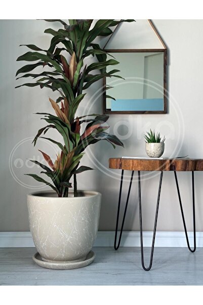 odka 20litre Klasik Saksı Tabaklı 30cmx30cm Mia Taş Mermer Desenli