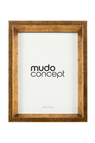 Mudo Home Olivia 15X21 Gold Photo Frame