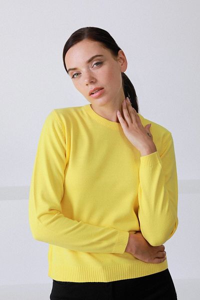 Ferraro Women's Yellow Round Neck Knitwear Sweater