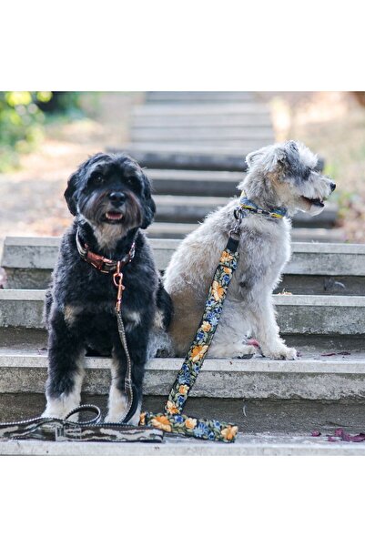 Flora Çiçek Nakışlı Köpek Gezdirme Kayışı