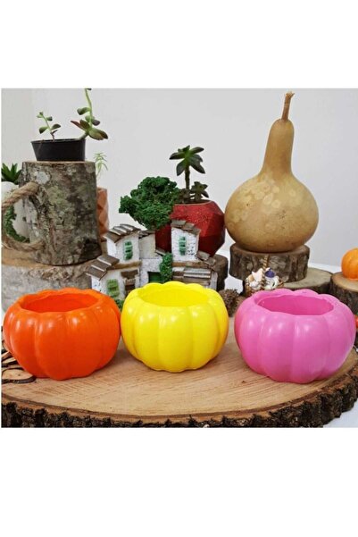 Genel Markalar Kaktüs Ve Succulentler Için El Yapımı 3'lü Kabak Tasarım Minno...