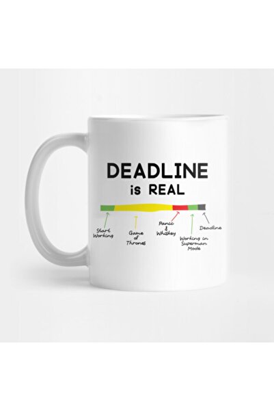 Pixxa Qa, Developer, Project Manager Kupa Bardak