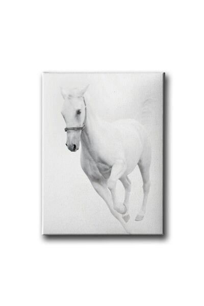 Desenlio Slika na platnu sa belim konjem