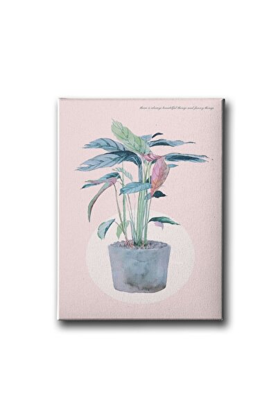 Desenlio Ctenanthe stol