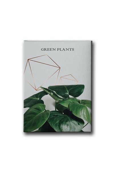 Desenlio Green Plants Canvas Painting