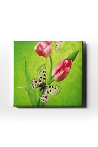 Desenlio Slika leptira i tulipana