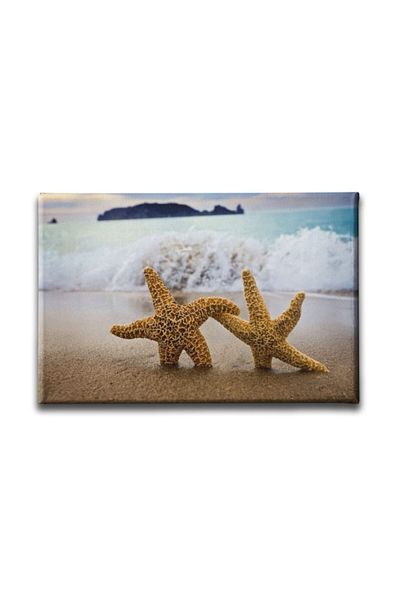 Desenlio Tabloul Stelelor de Mare