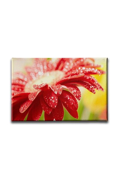 Desenlio Winter Flower Painting