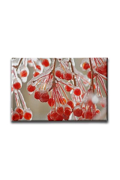 Desenlio Winter Fruits Painting