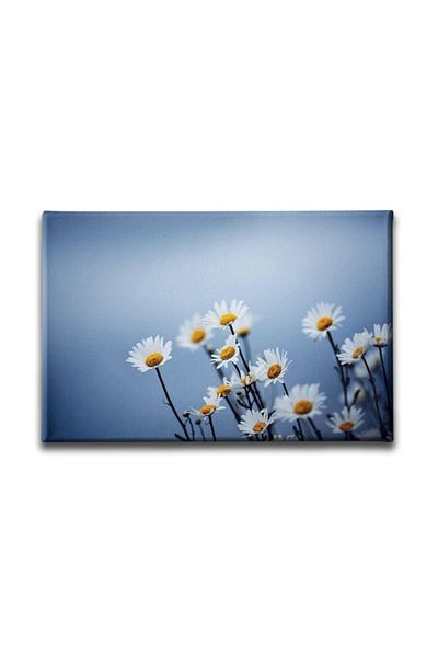Desenlio Pictură pe pânză Daisy