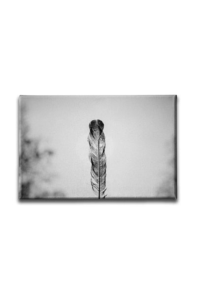 Desenlio Black and White Canvas Painting