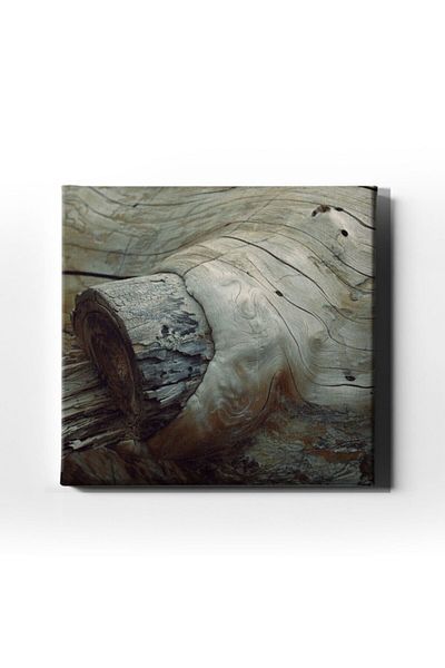 Desenlio Tree Hollow Canvas Art Print