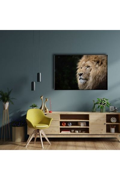 Desenlio Lion Canvas Painting