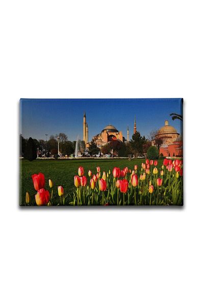 Desenlio Tabloul Moscheei Hagia Sofia