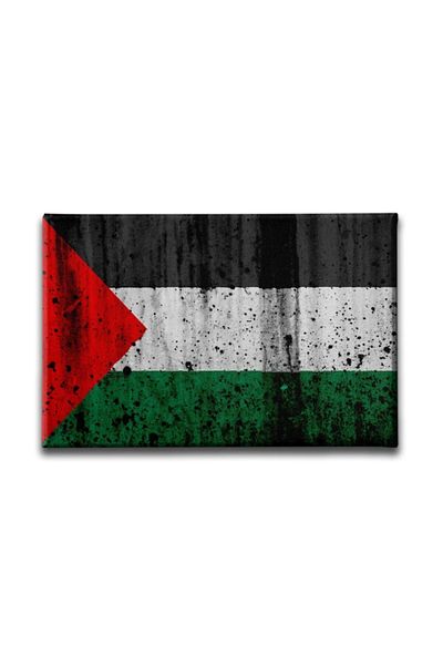 Desenlio Palestinian Flag Canvas Print