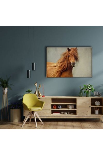 Desenlio В Canvas Tableau