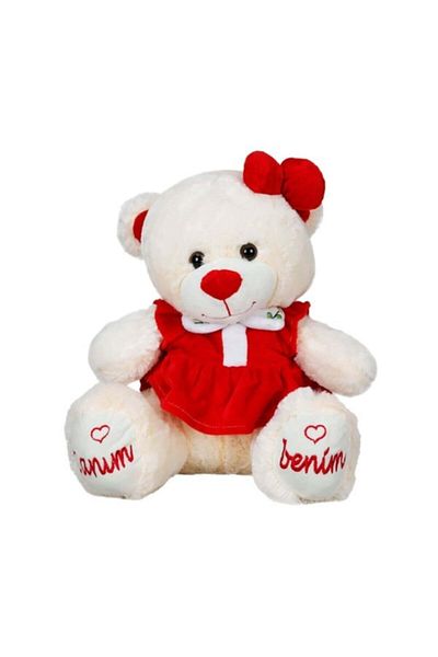 Sunman 40 cm Plush Bear Embroidered Dear Dress