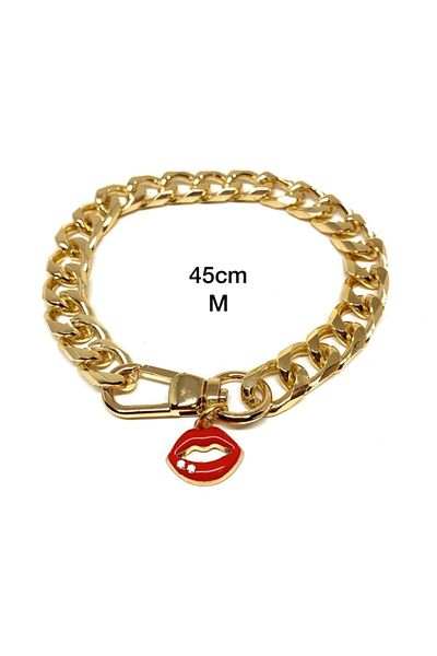 Petbucks Pet Accessories قلادة سلسلة ذهبية على شكل كلب قطة M 45 سم 2107zkdudak