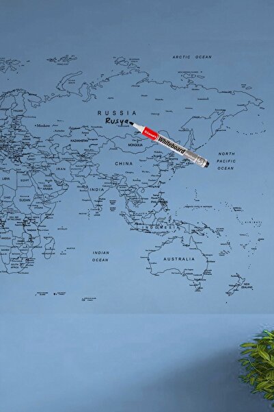 Buffer Dünya Haritası Duvar Stickerı (110 x 56 cm)