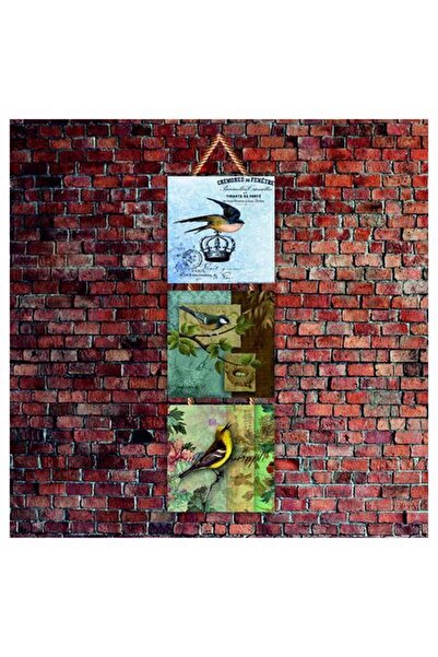 Cakatablo Εικονογραφήσεις πουλιών τυπωμένες σε χαρτί 14x14 εκ. 3 τεμάχια