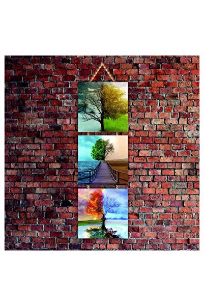 Cakatablo Δύο Διαφορετικά Σχέδια Εκτυπωμένα με Θέμα τη Φύση 14x14 εκ. 3 Τεμάχια