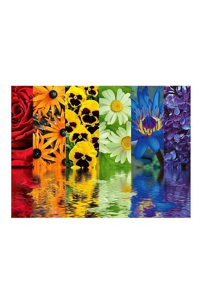 RAVENSBURGER شيك شوب 164462 بازل 500 قطعة انعكاس زهرة، متعدد الالوان 1002192