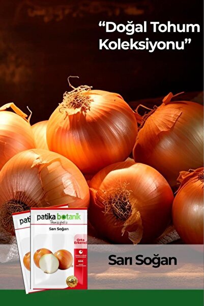 Patika Botanik 500 Adet Sarı Soğan Tohumu