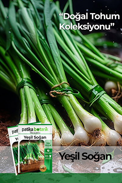 Patika Botanik 400 Adet Ata Tohumu Yerli Yeşil Soğan