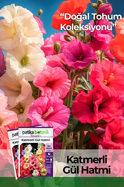 Patika Botanik 50 Adet Hatim Çiçeği (ALCEA ROSEA) Çiçek Tohumu