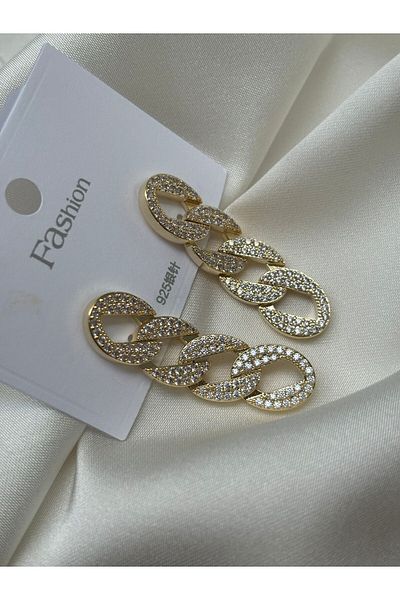 Accessories Special Series Gourmet Model Dangle Steel Earrings