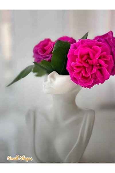 Small Shapes Iskandinav Bohem Kadın Vazo