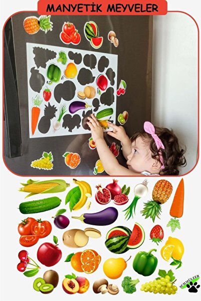 Schmülzer Buzdolabı Eğitici Manyetik Meyveler/sebzeler - Manyetik Bultak Şabl...