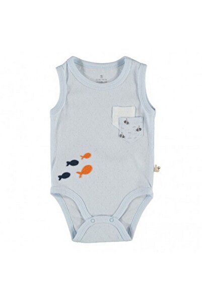 Bibaby ديسكفري مون بودي