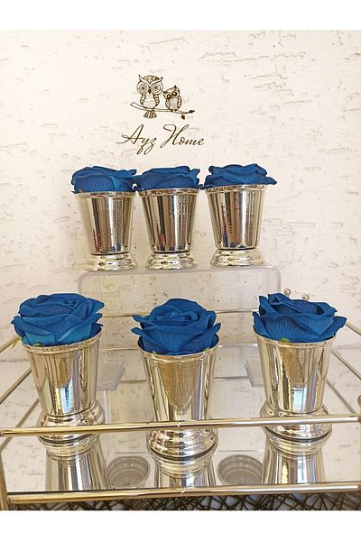 AYZ HOME ROSE BUCKET / COFFEE PRESENTATION ROSE BUCKET - 6 PIECES
