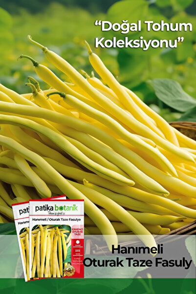 Patika Botanik 50 Adet Hanımeli (TURŞULUK) Oturak Fasülye Tohumu