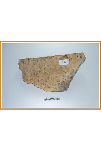 Ağaç Market Kavak Ağacı Mazel No:14 32cmx60cmx10cm