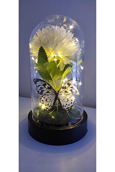 LOTUSS Kelebek Buketi Çiçekli Fanus 24 Kasım Sevgiliye Hediye Işıklı Hediyelikler Kasımpatı