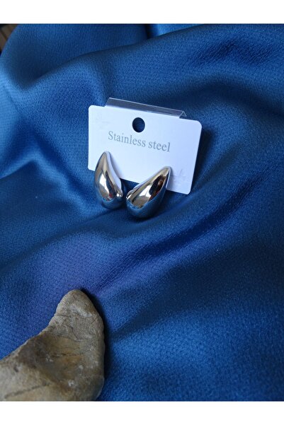 staınless steel Steel Drop Earrings