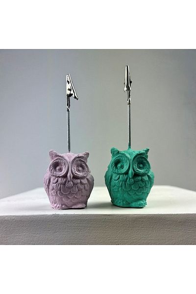 oasis decoration Owl Note Holder Set of 2 (ice Green - Pink)